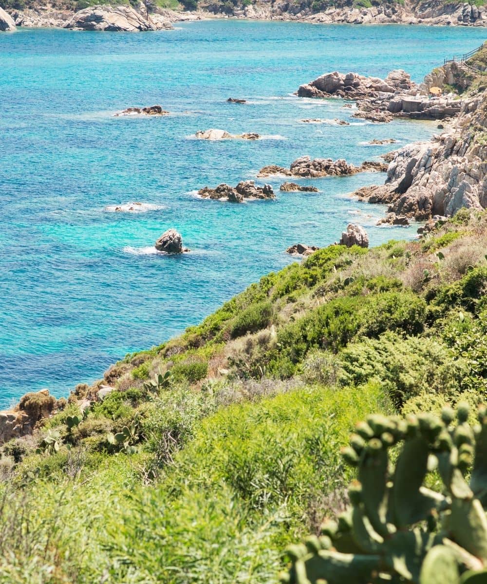 A brief description of Gallura